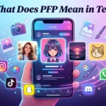 What Does PFP Mean in Text